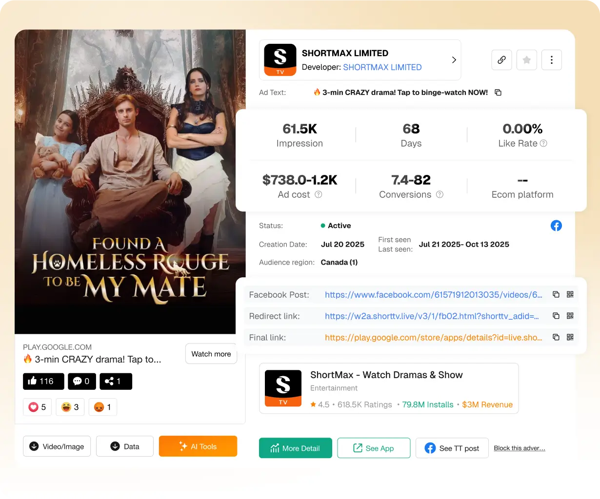 Reklam Performansı ve ROI Analizi